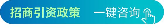 招商引資政策咨詢